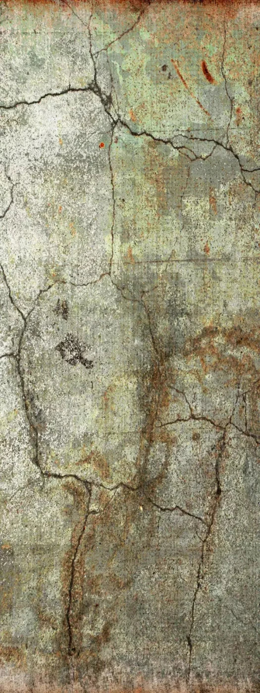 Avoid 8X20 Ultracloth ( 96 X 240 Inch ) Backdrop