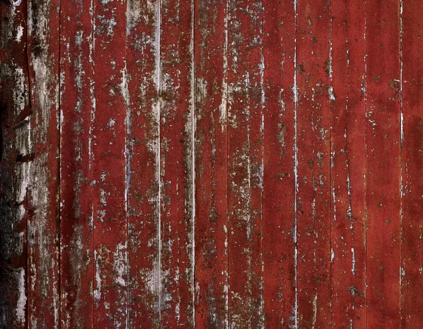 Aware 8X6 Fleece ( 96 X 72 Inch ) Backdrop