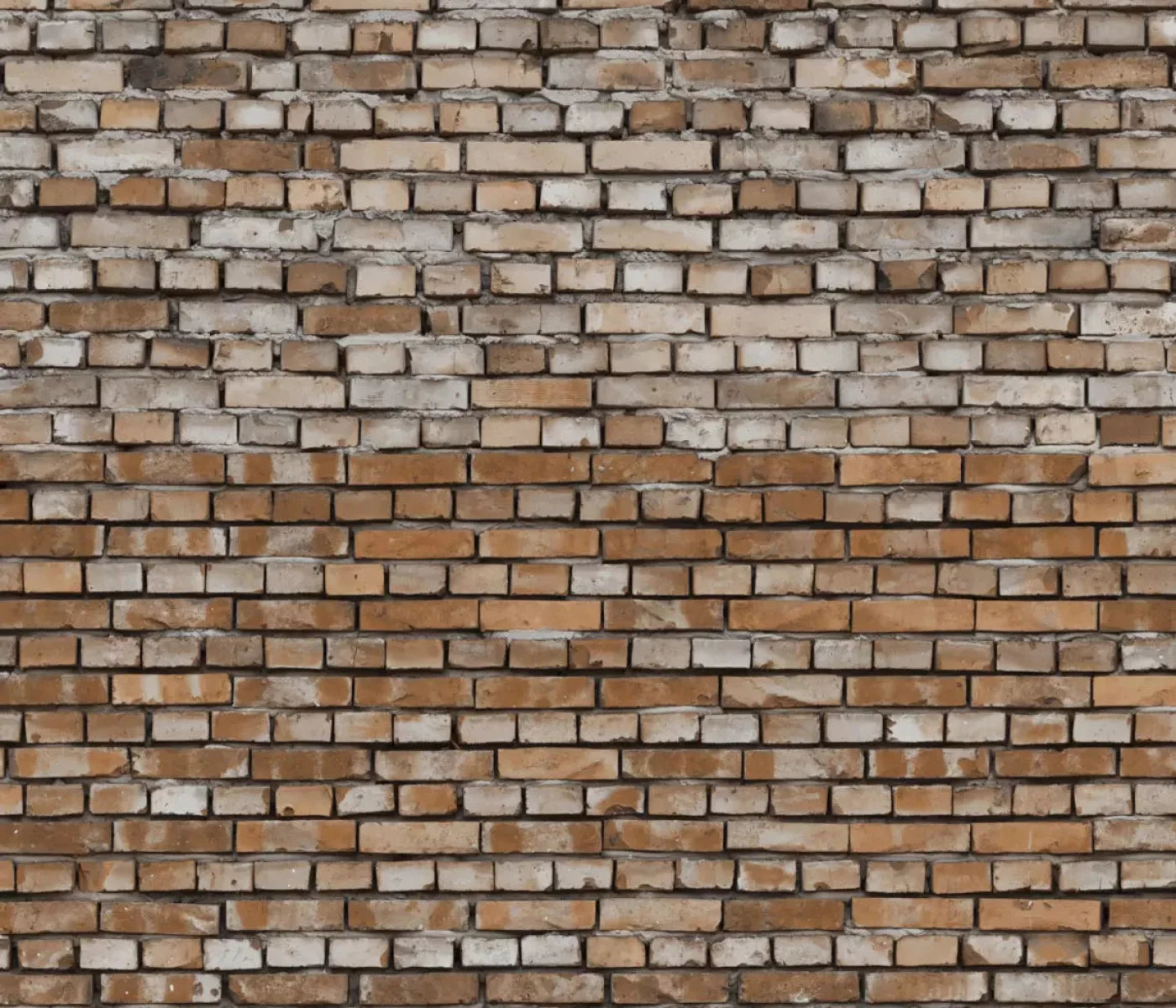 Backstreet 12X10 Ultracloth ( 144 X 120 Inch ) Backdrop