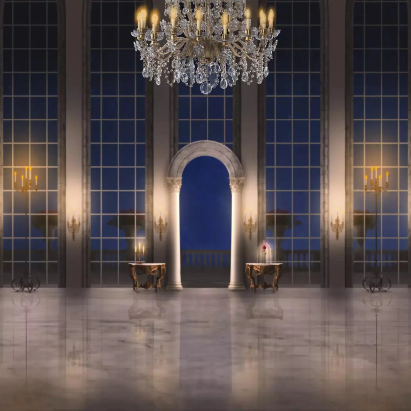 Ballroom 10X10 Ultracloth ( 120 X Inch ) Backdrop