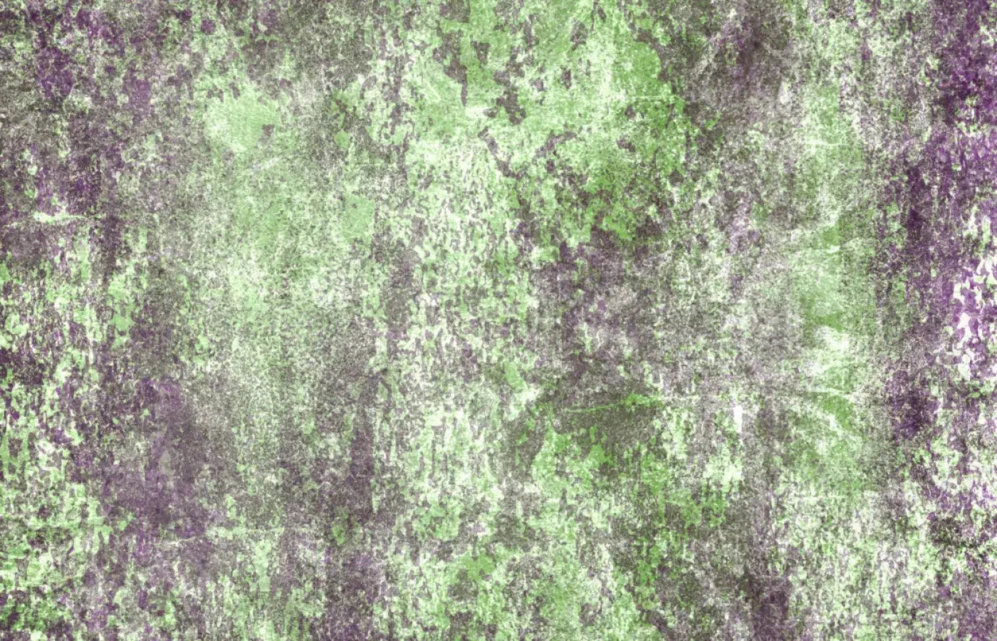 Bambino3 12X8 Ultracloth ( 144 X 96 Inch ) Backdrop