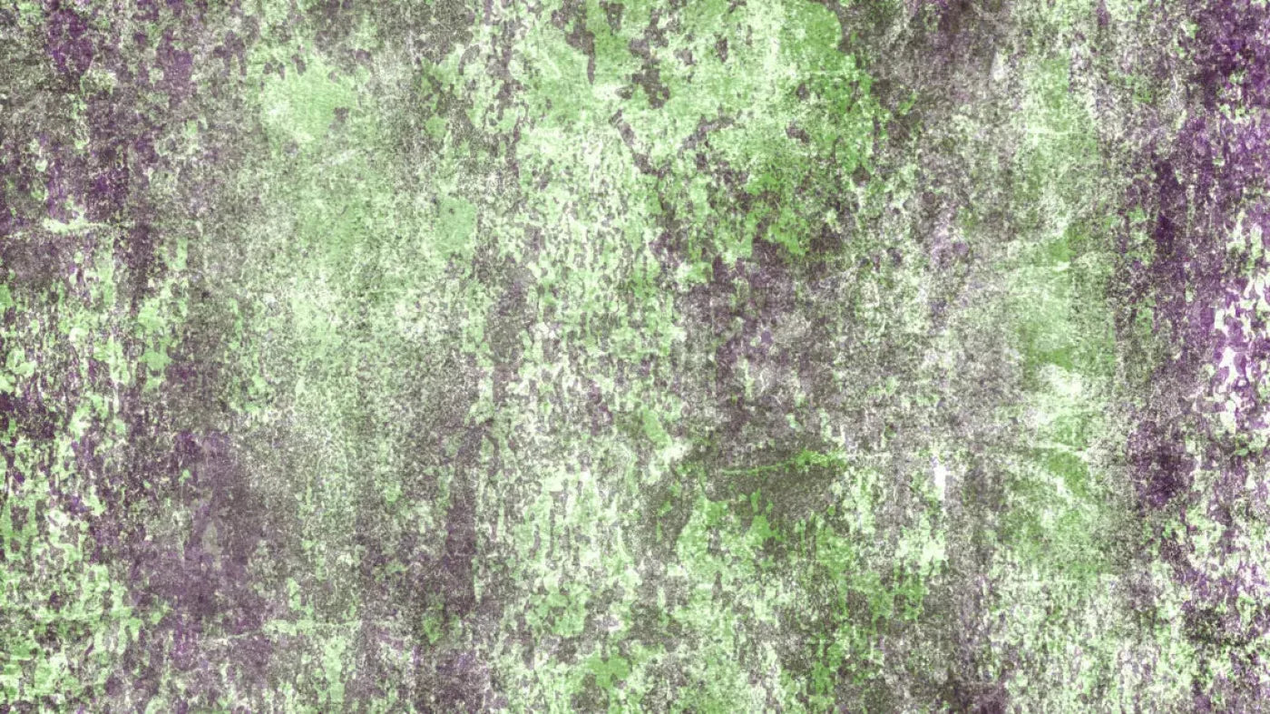 Bambino3 14X8 Ultracloth ( 168 X 96 Inch ) Backdrop