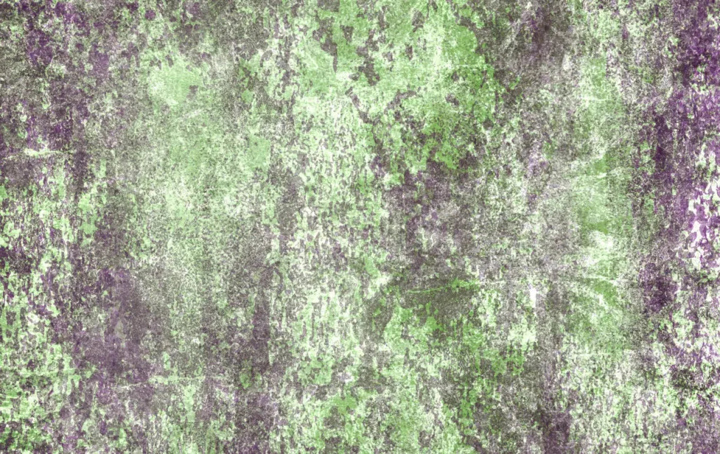 Bambino3 16X10 Ultracloth ( 192 X 120 Inch ) Backdrop