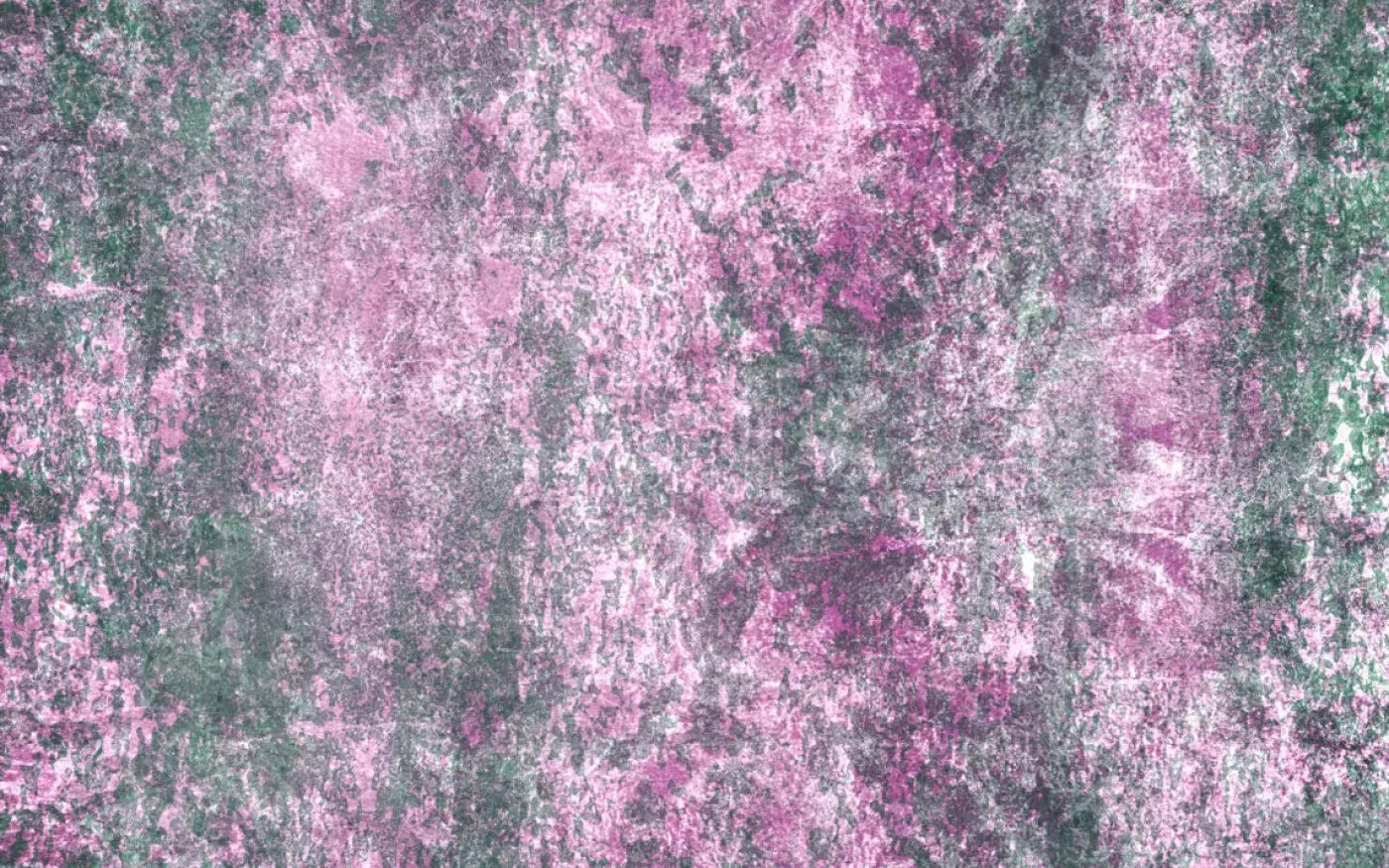 Bambino5 14X9 Ultracloth ( 168 X 108 Inch ) Backdrop