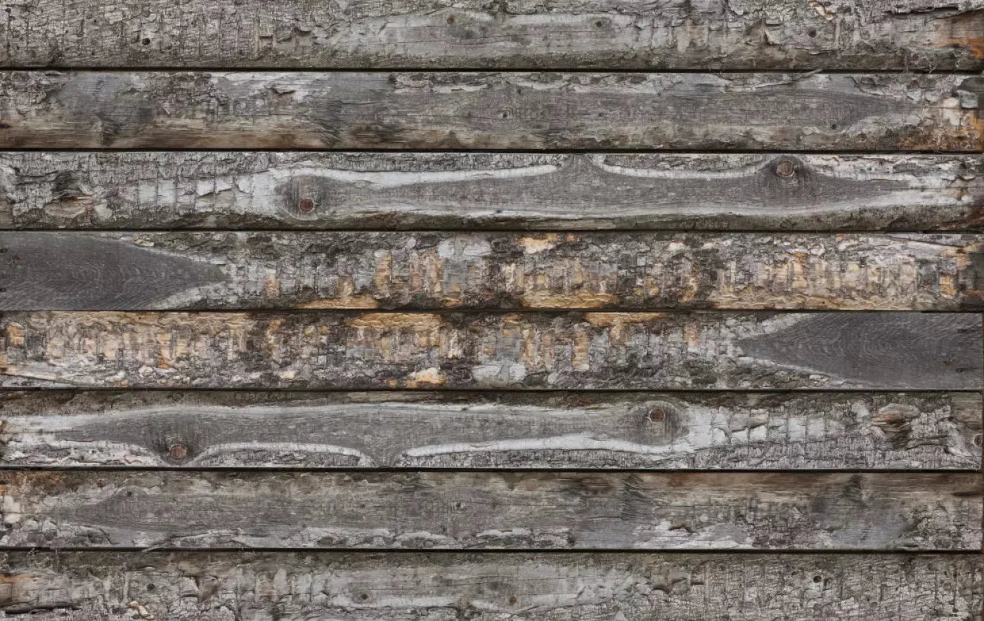 Barker 16X10 Ultracloth ( 192 X 120 Inch ) Backdrop