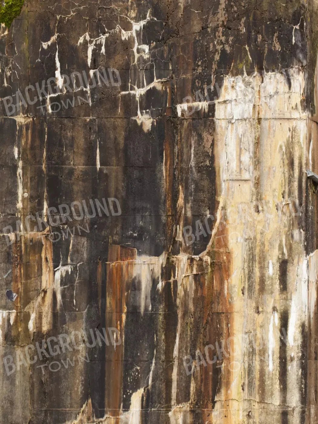 Barkley 8X10 Fleece ( 96 X 120 Inch ) Backdrop