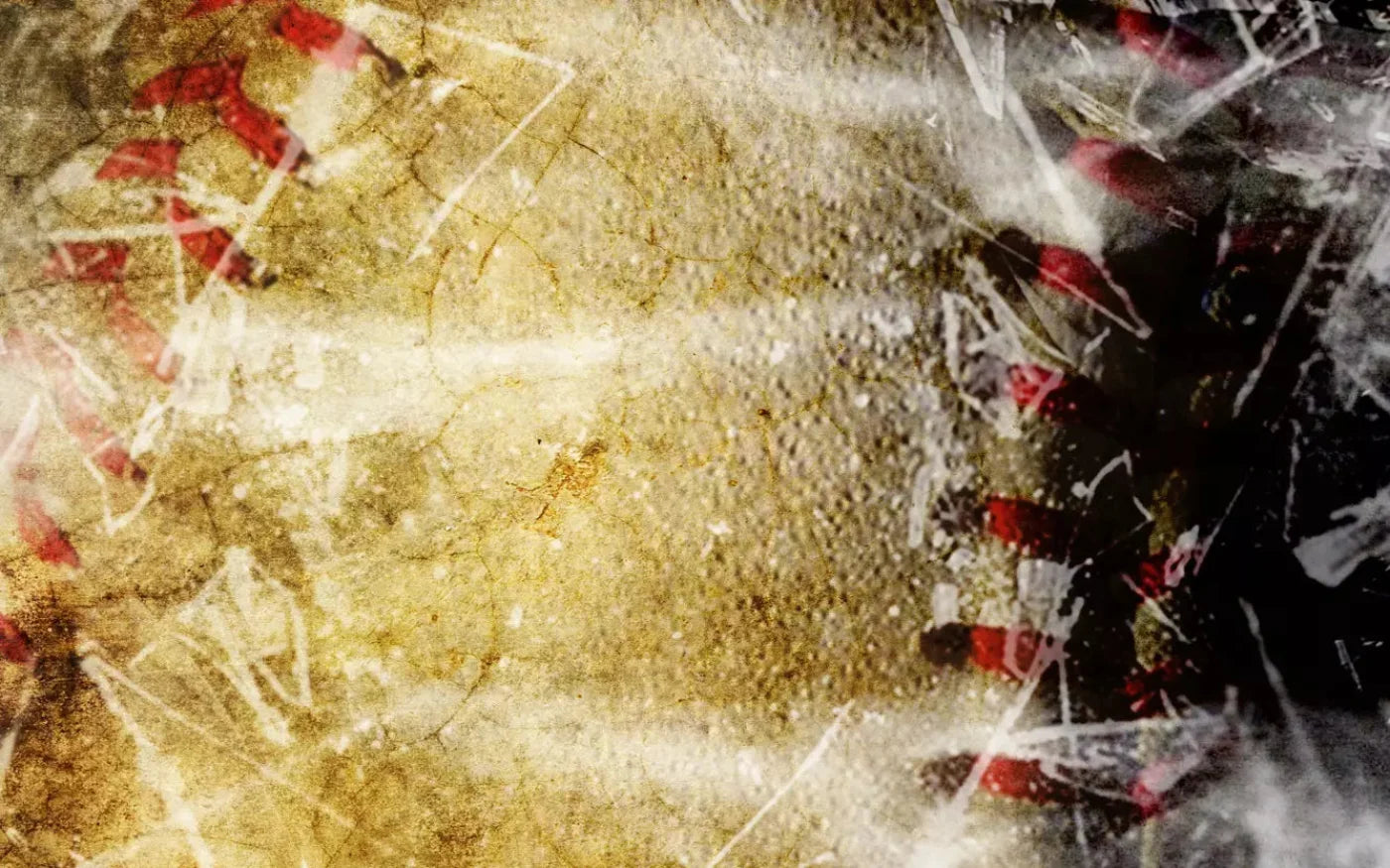 Baseball Grunge 14X9 Ultracloth ( 168 X 108 Inch ) Backdrop