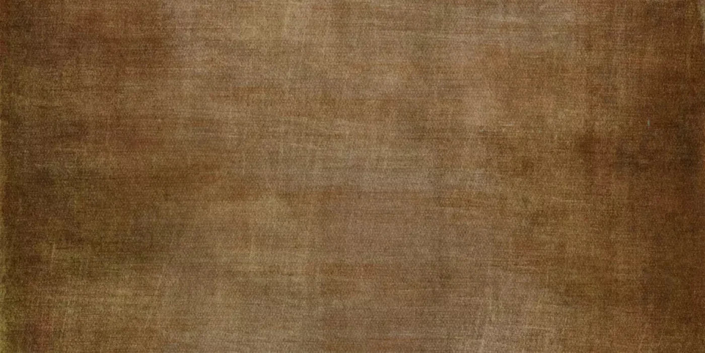 Bayside 20X10 Ultracloth ( 240 X 120 Inch ) Backdrop