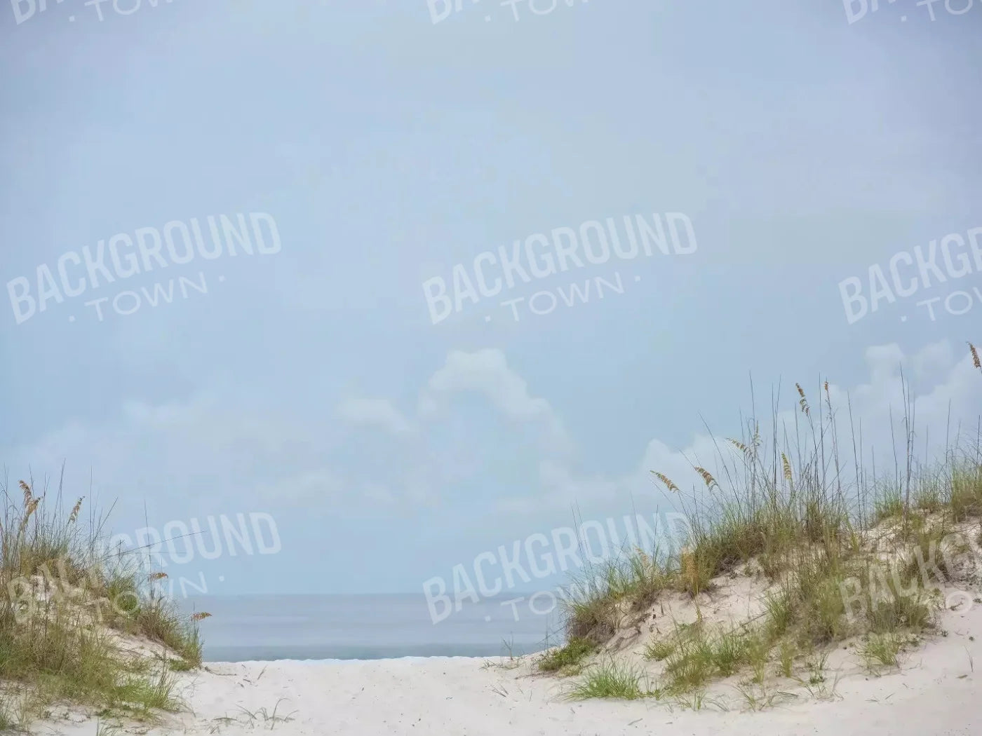 Beach Day 10X8 Fleece ( 120 X 96 Inch ) Backdrop