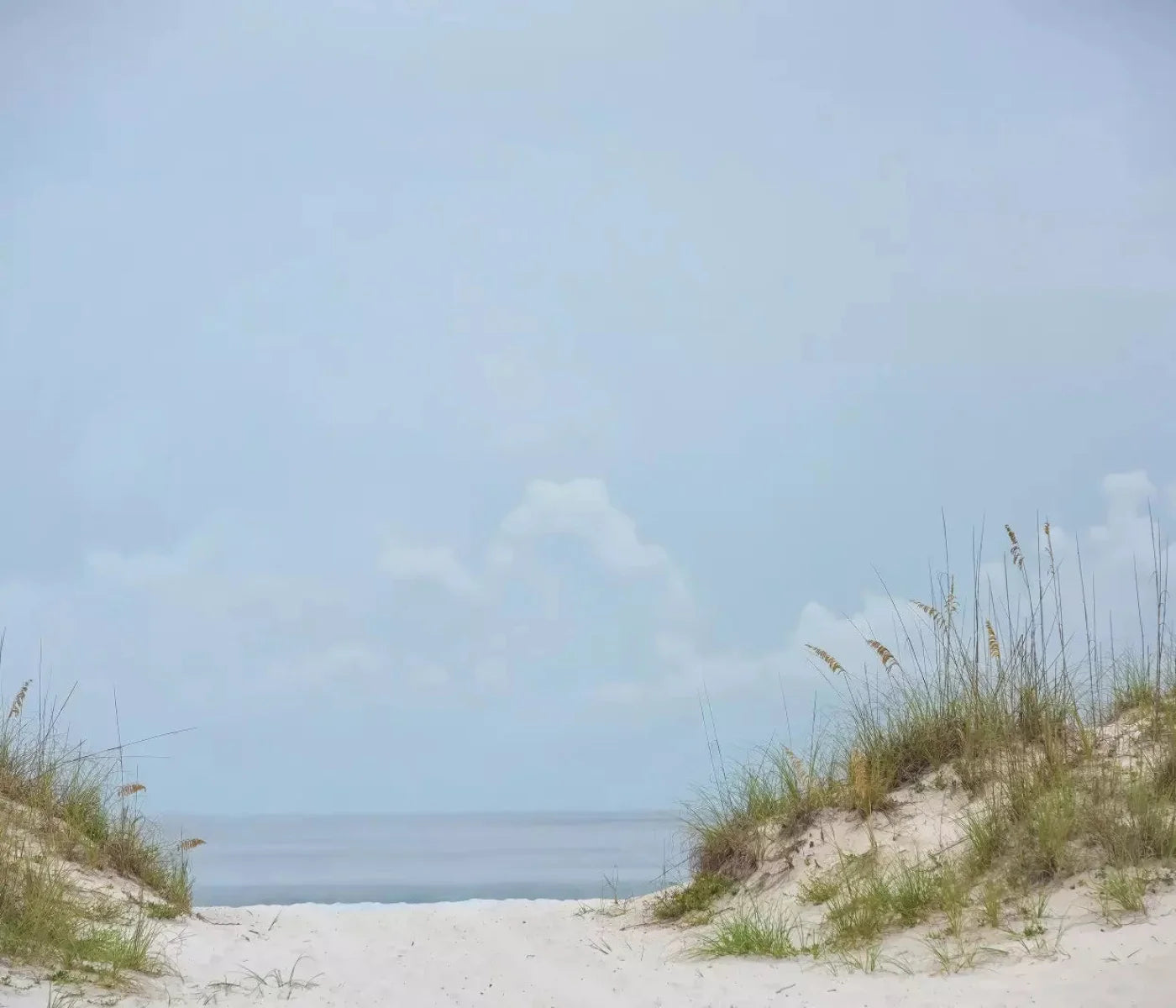 Beach Day 12X10 Ultracloth ( 144 X 120 Inch ) Backdrop