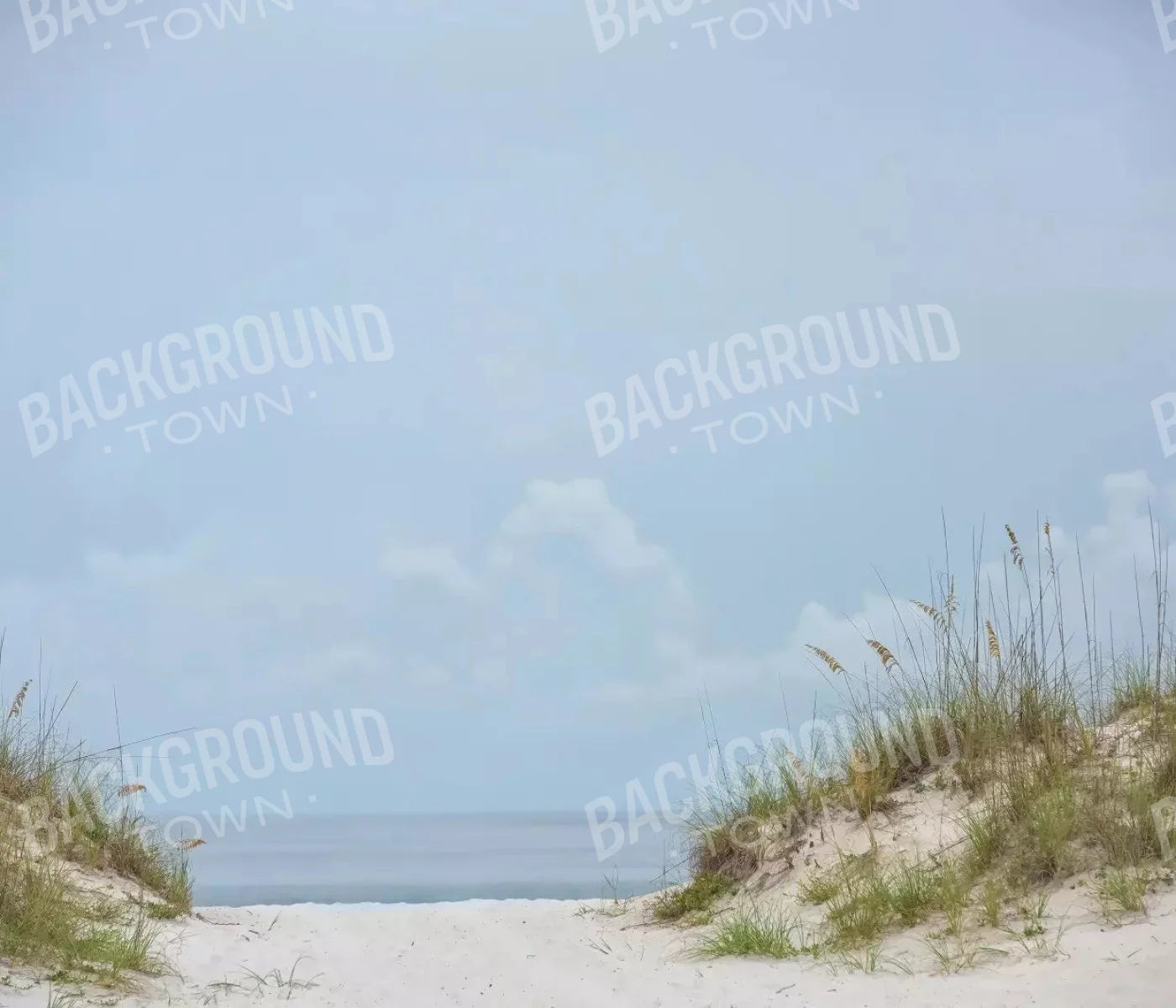 Beach Day 12X10 Ultracloth ( 144 X 120 Inch ) Backdrop
