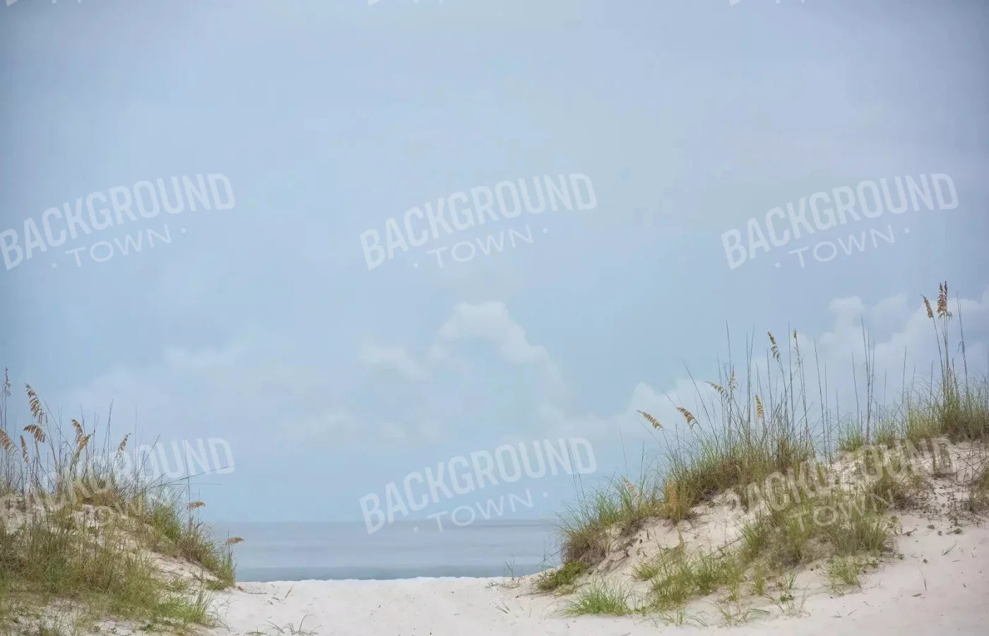 Beach Day 12X8 Ultracloth ( 144 X 96 Inch ) Backdrop