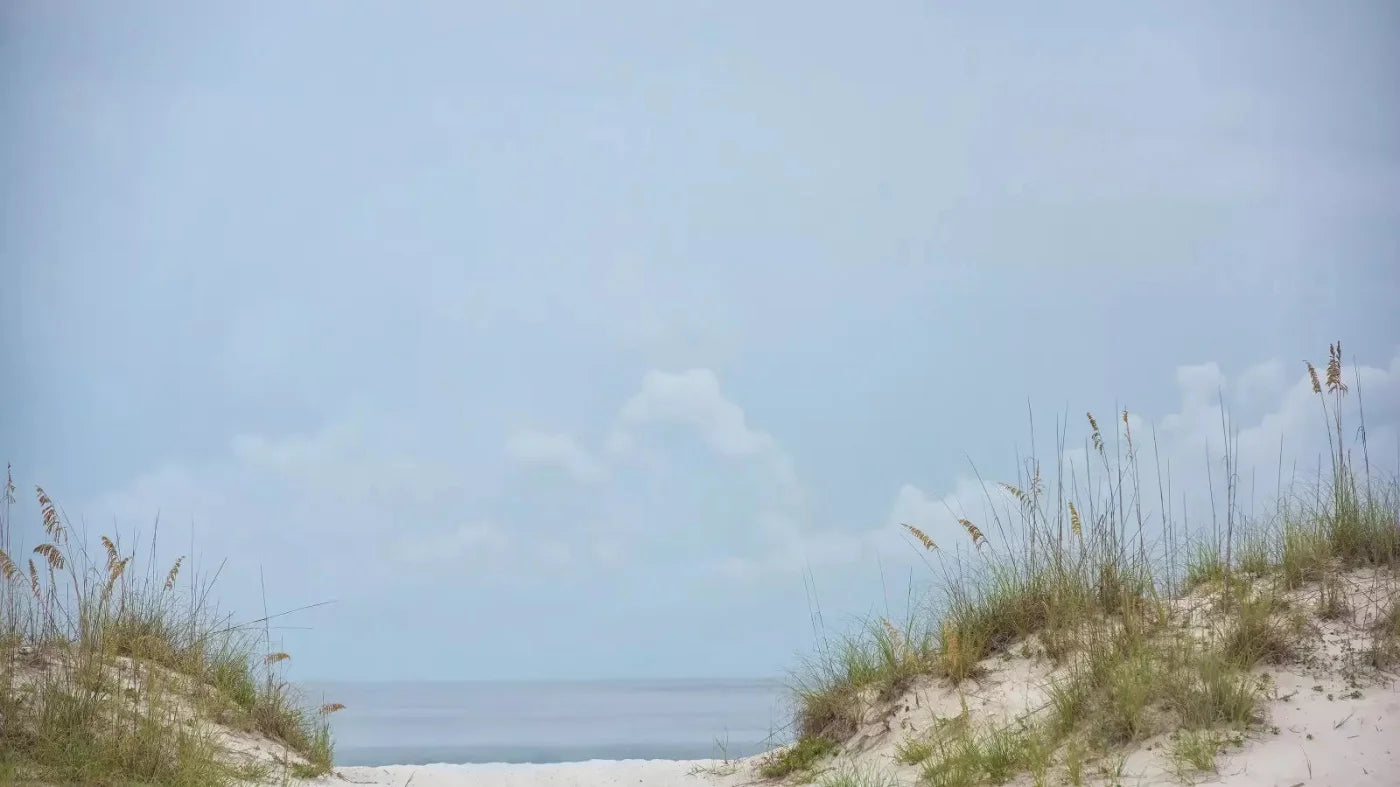 Beach Day 14X8 Ultracloth ( 168 X 96 Inch ) Backdrop