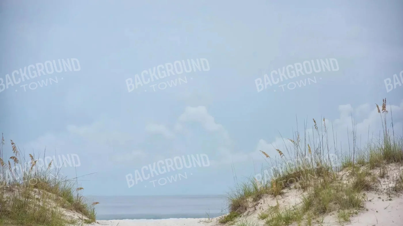 Beach Day 14X8 Ultracloth ( 168 X 96 Inch ) Backdrop