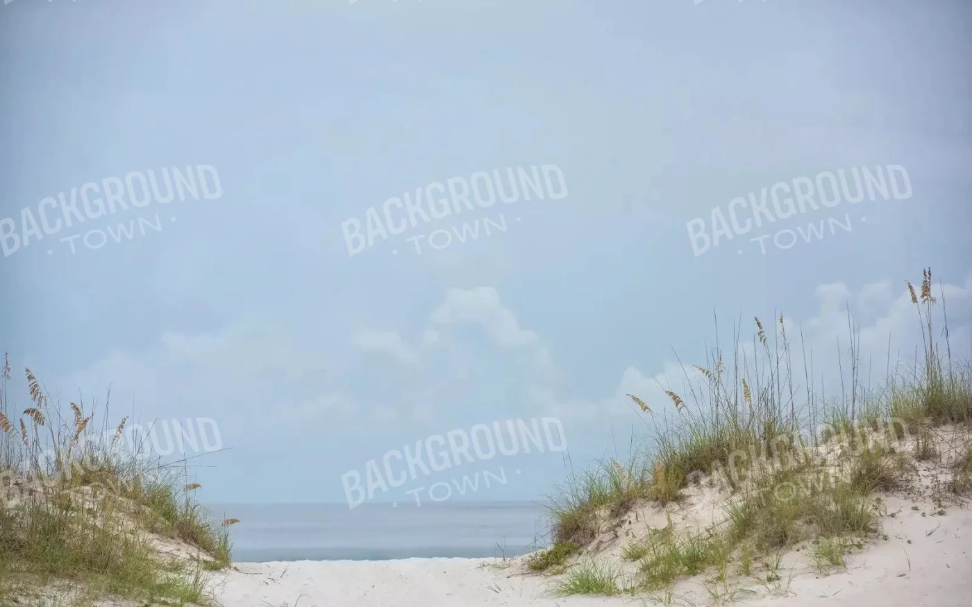 Beach Day 14X9 Ultracloth ( 168 X 108 Inch ) Backdrop