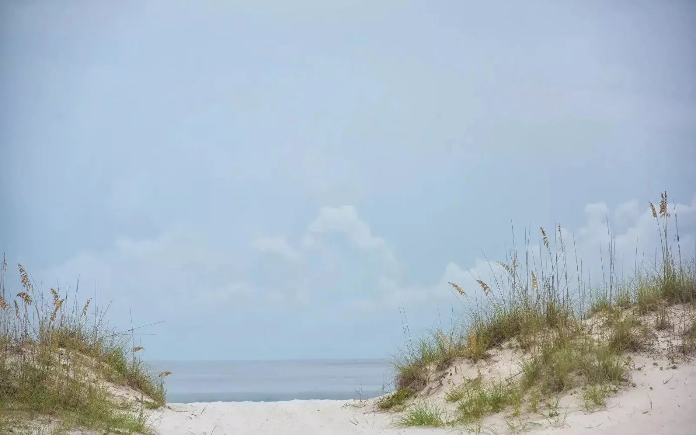 Beach Day 14X9 Ultracloth ( 168 X 108 Inch ) Backdrop