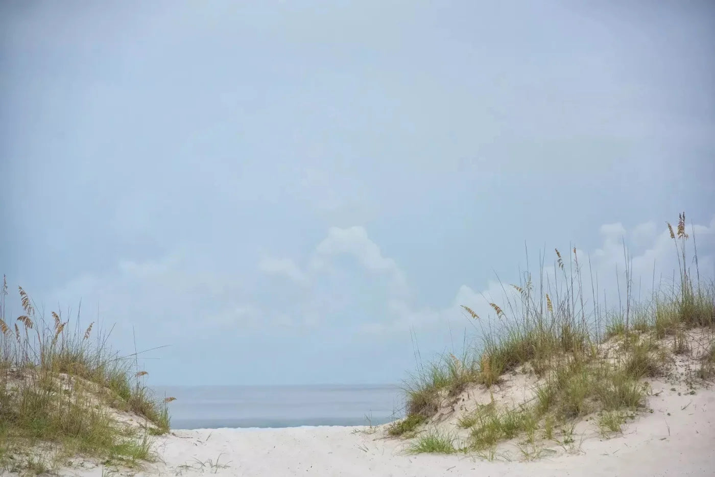 Beach Day 8X5 Ultracloth ( 96 X 60 Inch ) Backdrop