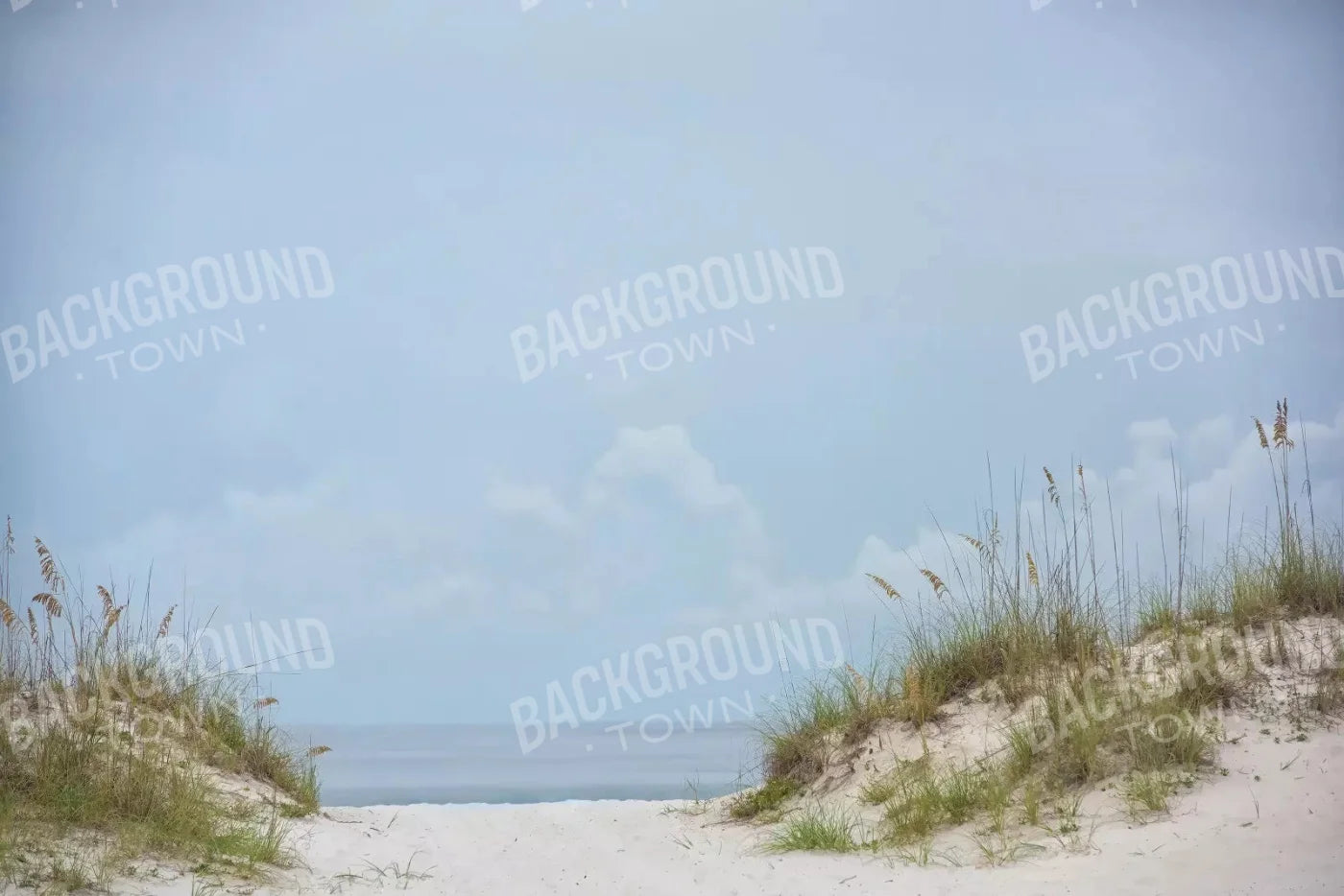 Beach Day 8X5 Ultracloth ( 96 X 60 Inch ) Backdrop