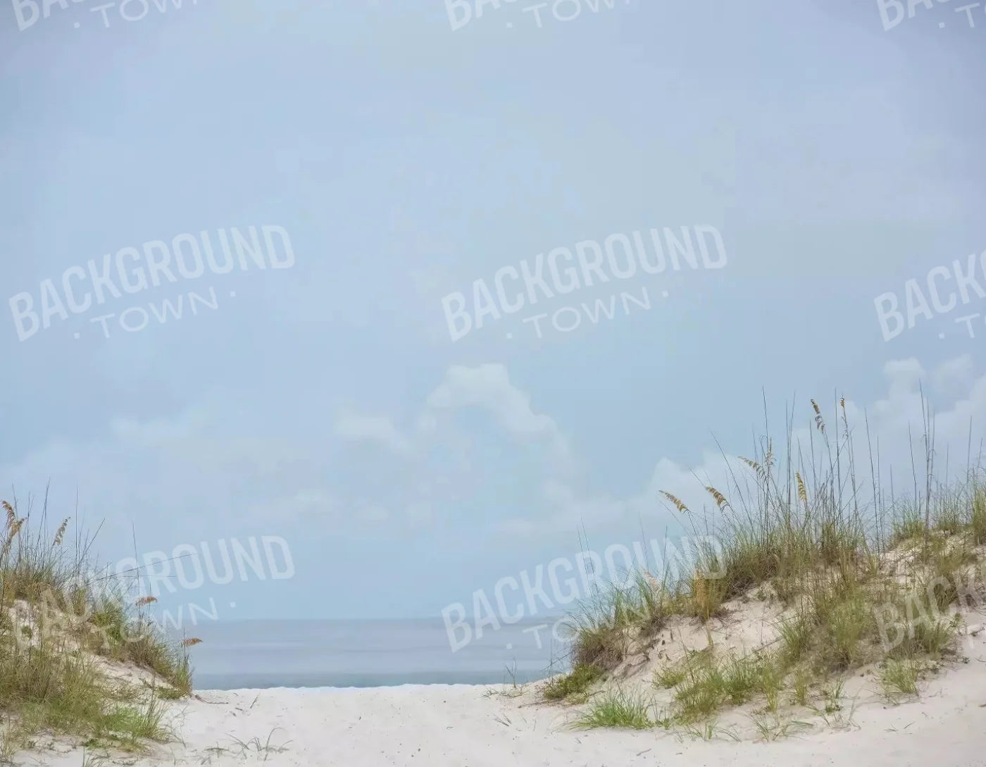 Beach Day 8X6 Fleece ( 96 X 72 Inch ) Backdrop