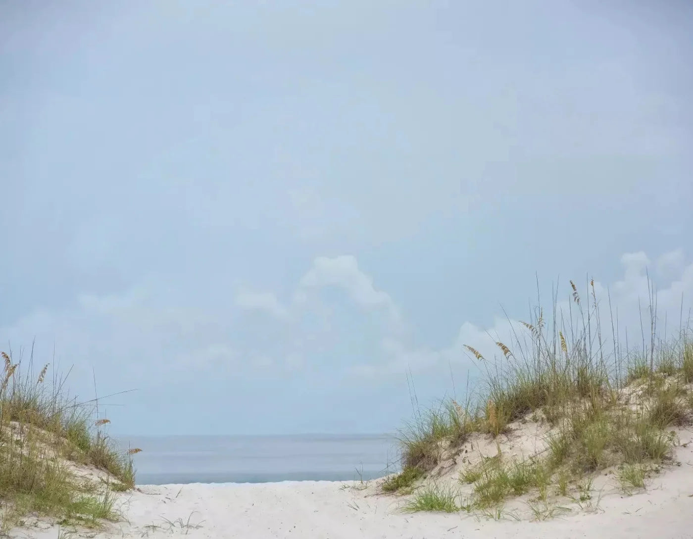Beach Day 8X6 Fleece ( 96 X 72 Inch ) Backdrop