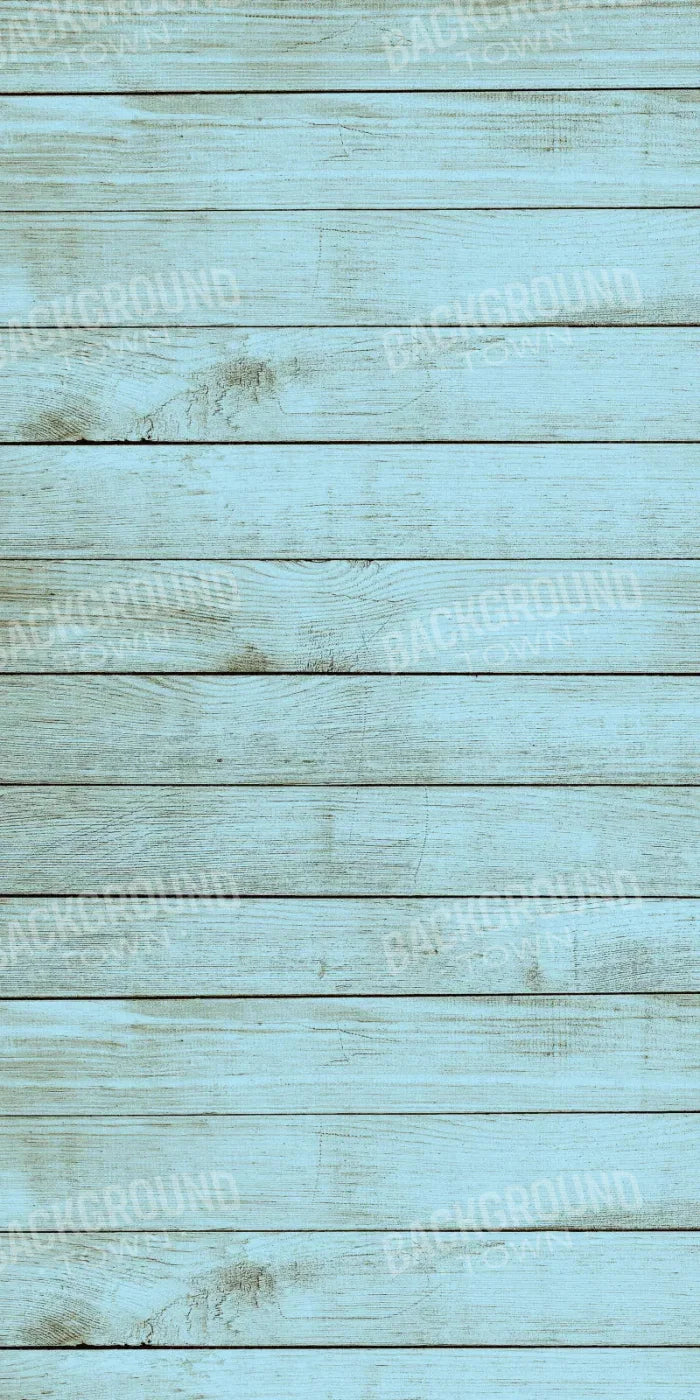Beach House 10X20 Ultracloth ( 120 X 240 Inch ) Backdrop