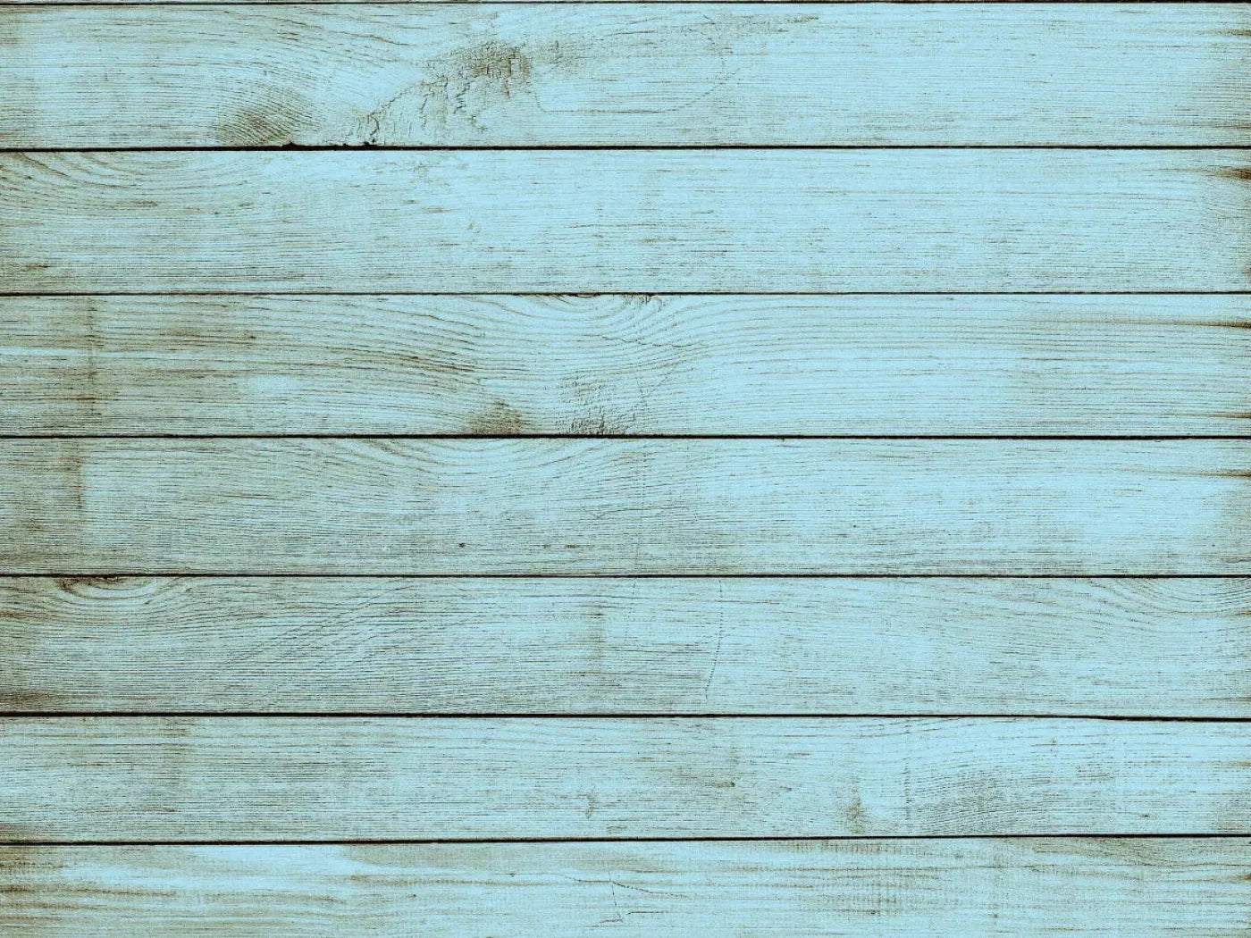 Beach House 10X8 Fleece ( 120 X 96 Inch ) Backdrop