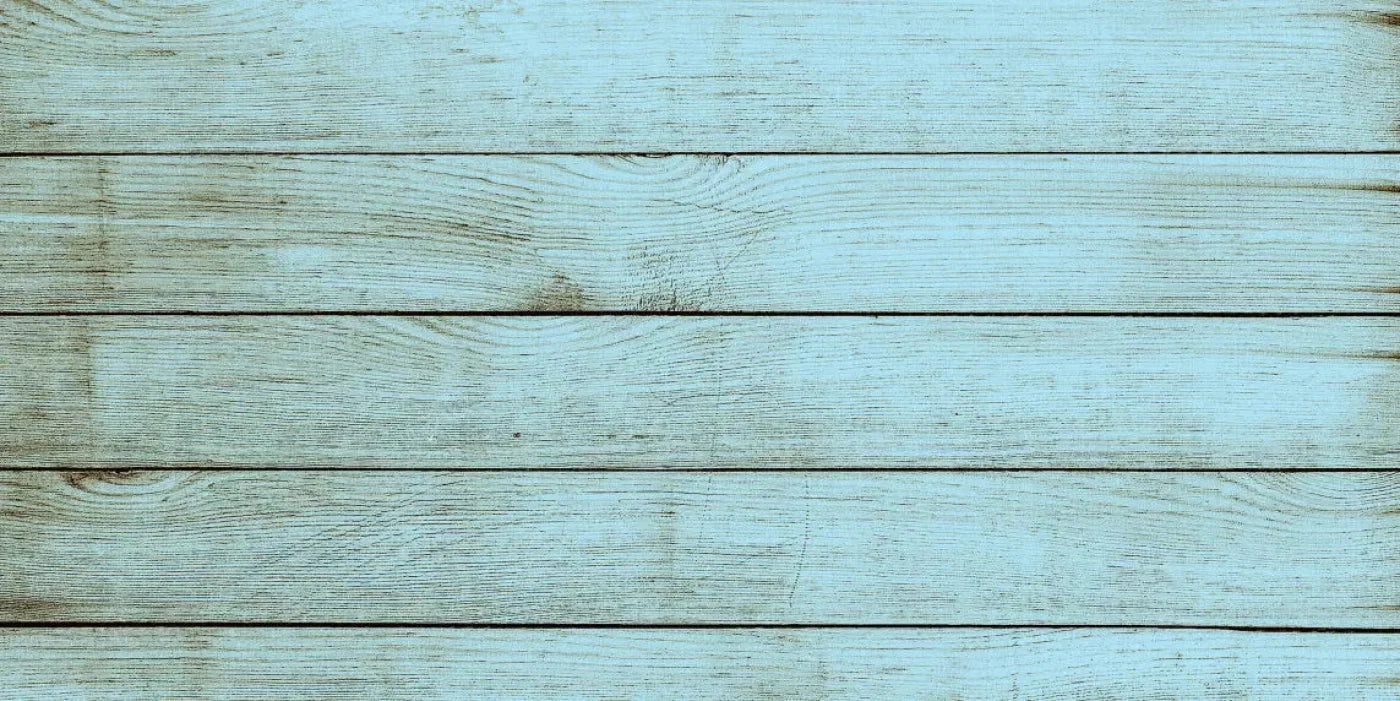 Beach House 20X10 Ultracloth ( 240 X 120 Inch ) Backdrop