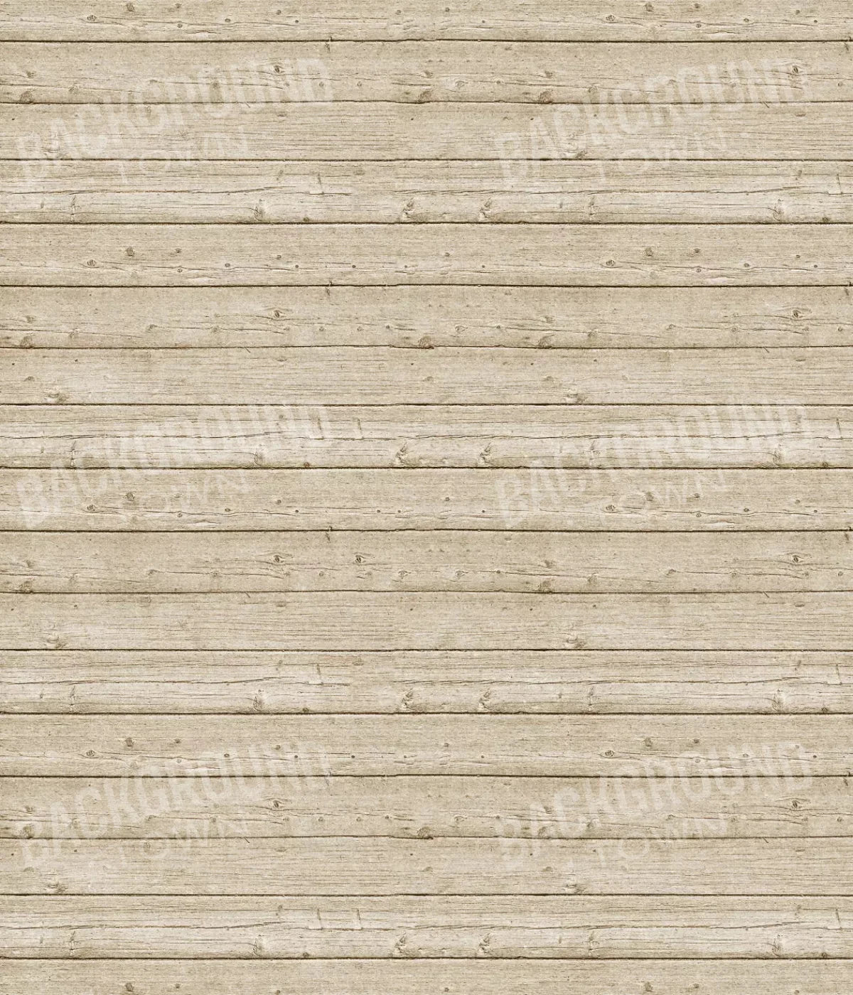 Beach Walk 10X12 Ultracloth ( 120 X 144 Inch ) Backdrop