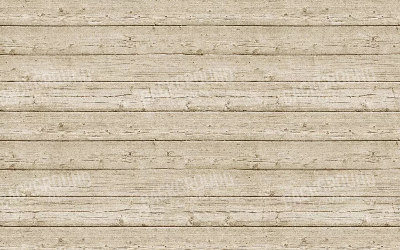 Beach Walk 14X9 Ultracloth ( 168 X 108 Inch ) Backdrop