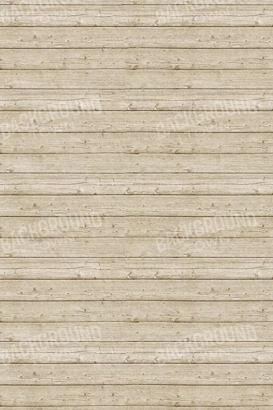 Beach Walk 5X8 Ultracloth ( 60 X 96 Inch ) Backdrop