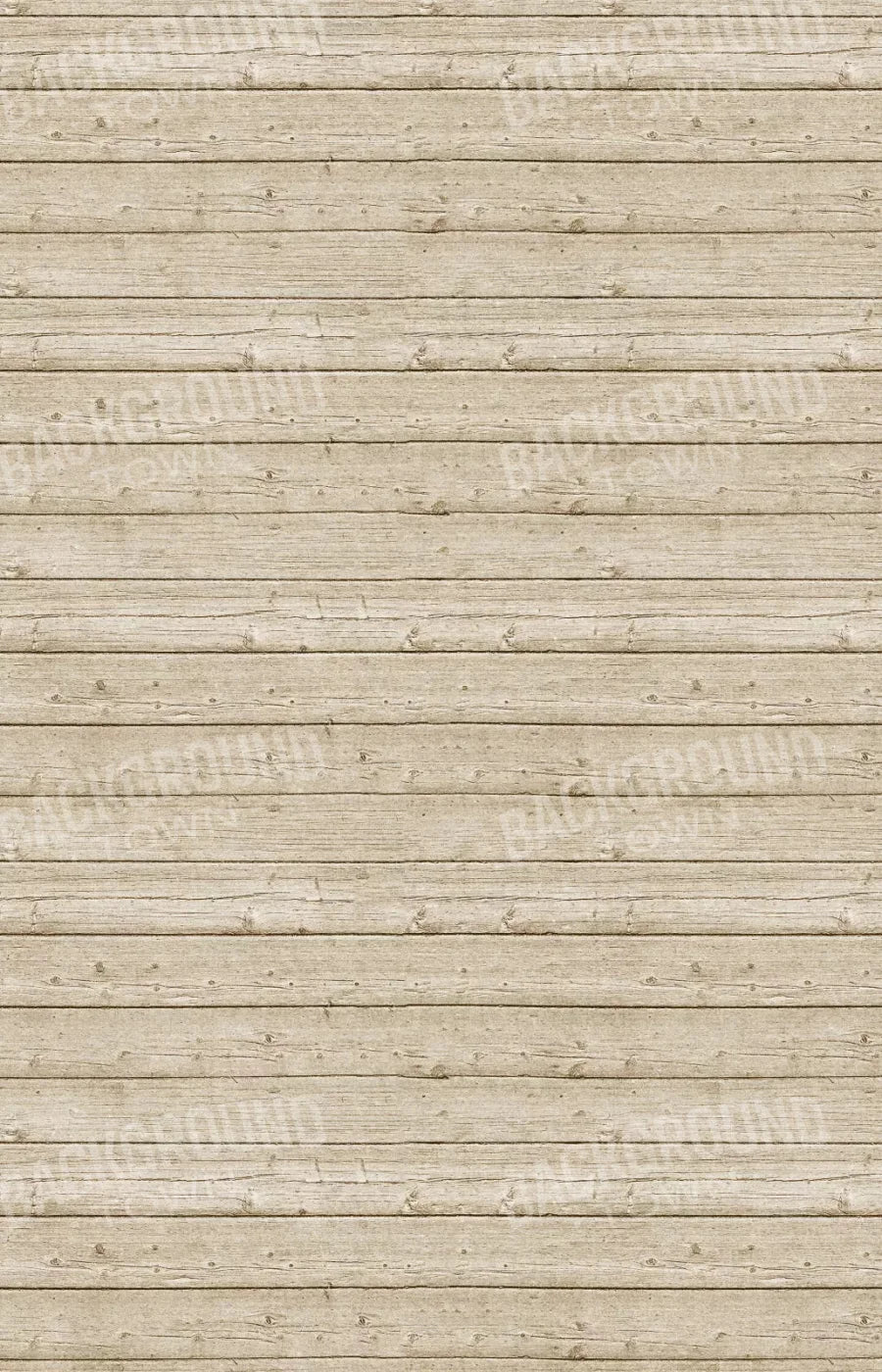 Beach Walk 8X12 Ultracloth ( 96 X 144 Inch ) Backdrop