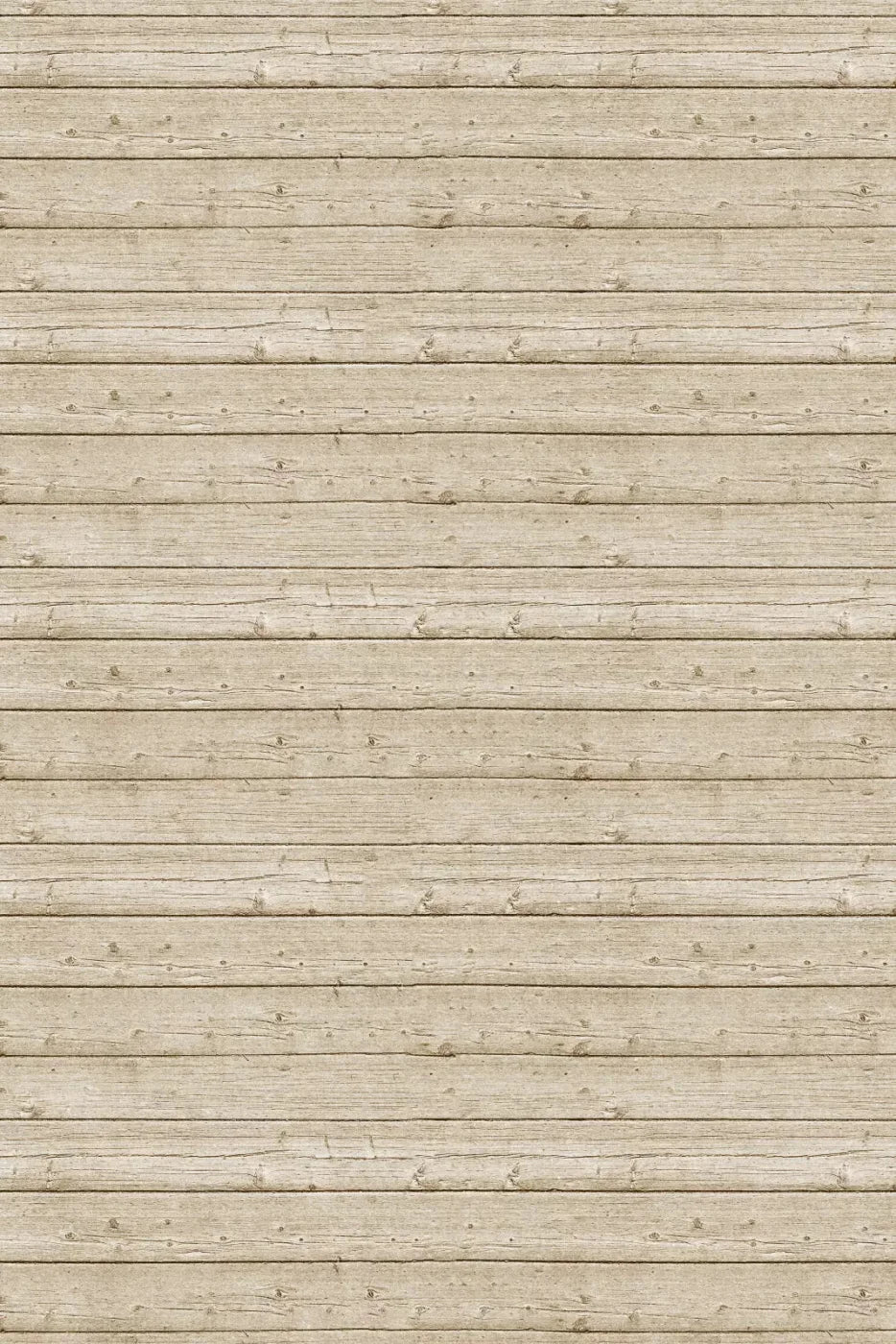 Beach Walk 5X76 For Lvl Up Backdrop System ( 60 X 90 Inch )