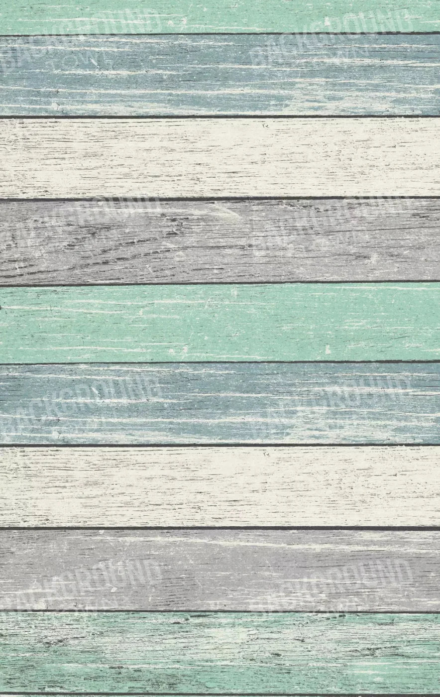 Beached 10X16 Ultracloth ( 120 X 192 Inch ) Backdrop