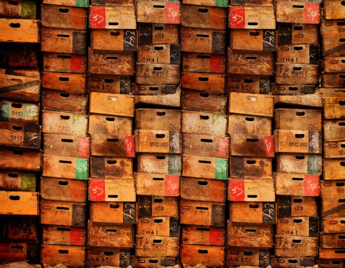 Bee Boxes 8X6 Fleece ( 96 X 72 Inch ) Backdrop