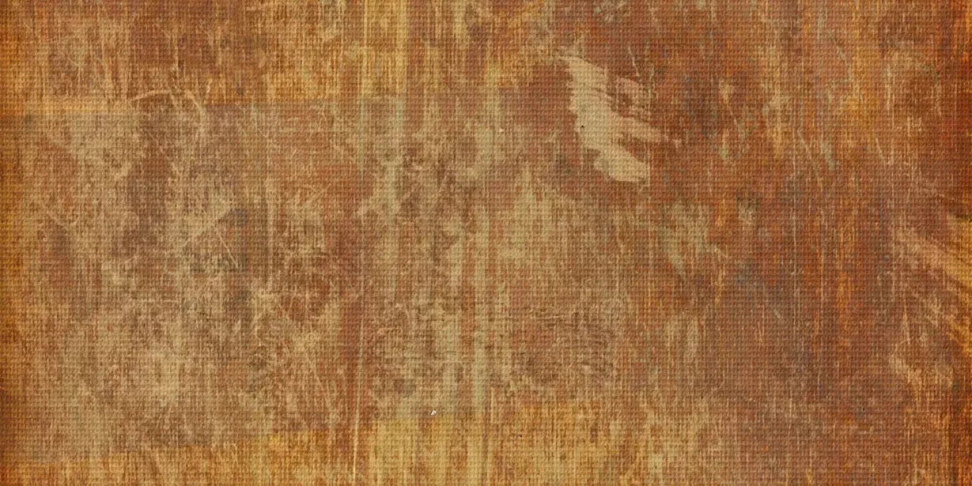 Behold 20X10 Ultracloth ( 240 X 120 Inch ) Backdrop