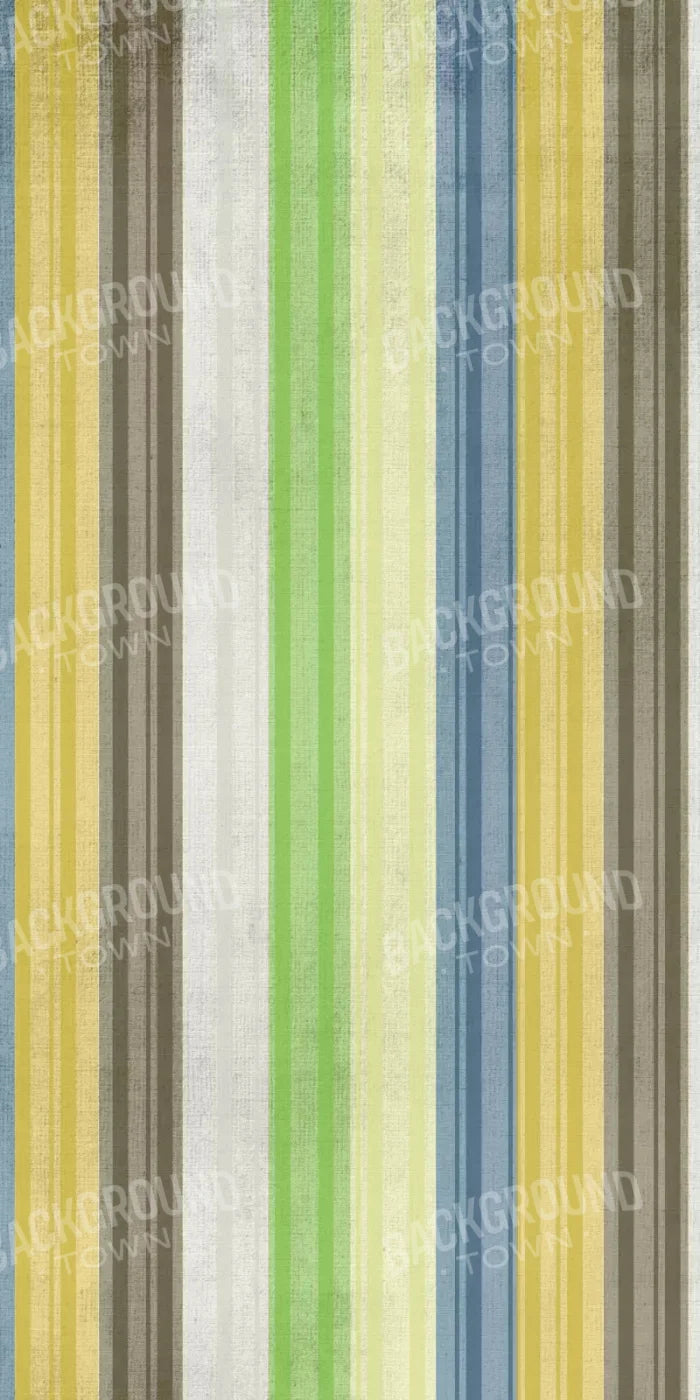 Benjamin 10X20 Ultracloth ( 120 X 240 Inch ) Backdrop