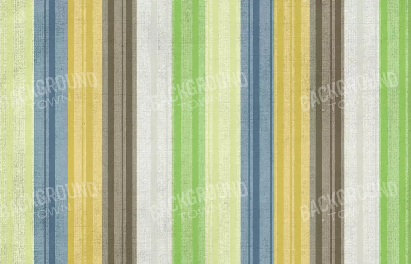 Benjamin 12X8 Ultracloth ( 144 X 96 Inch ) Backdrop