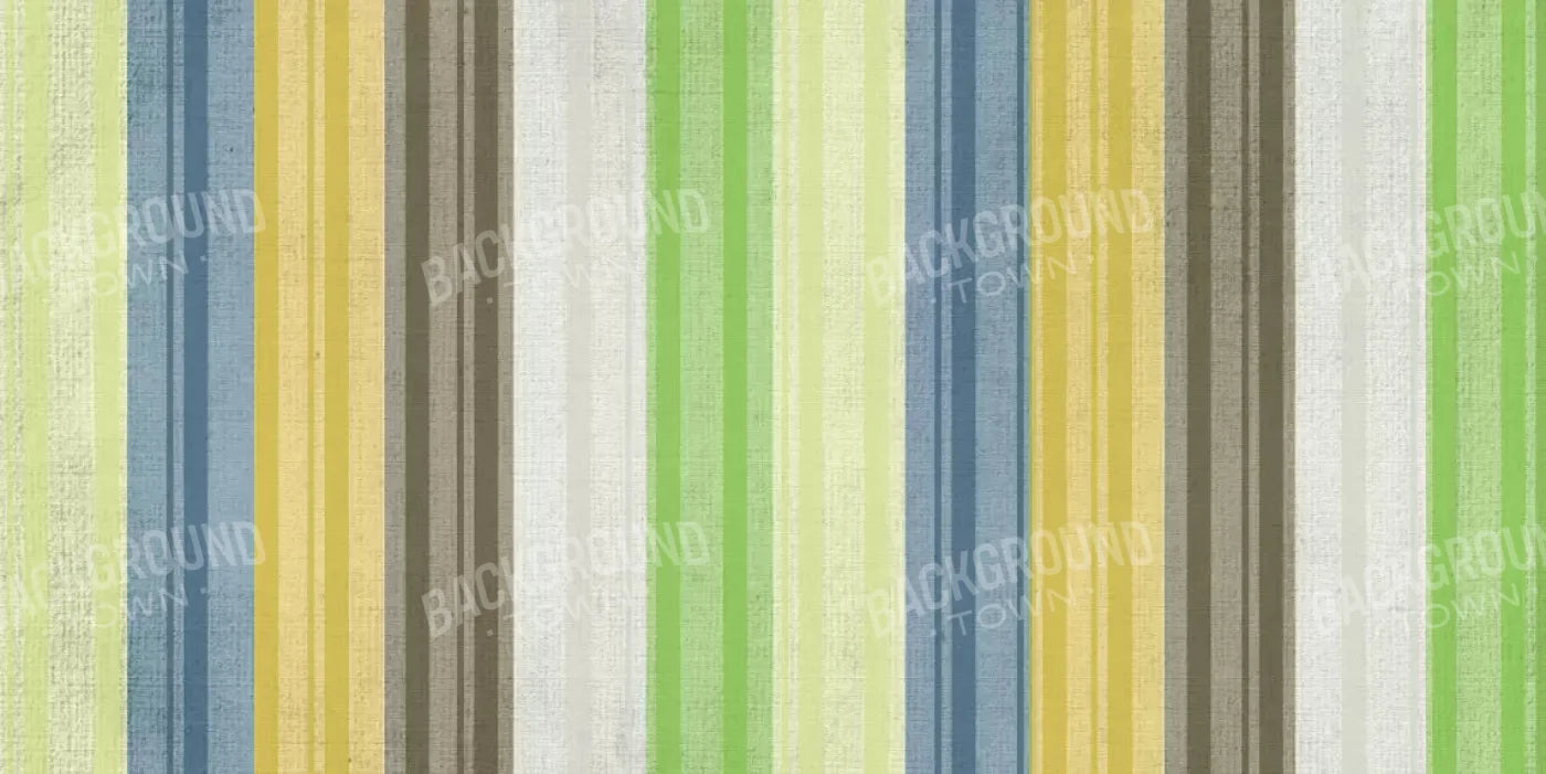Benjamin 20X10 Ultracloth ( 240 X 120 Inch ) Backdrop
