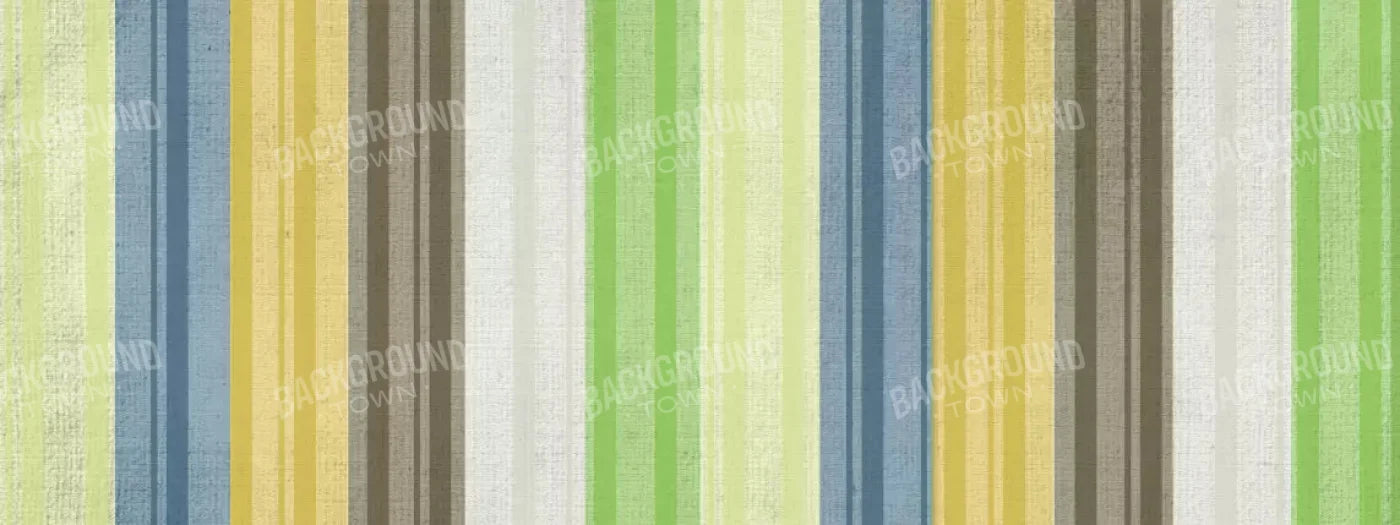 Benjamin 20X8 Ultracloth ( 240 X 96 Inch ) Backdrop
