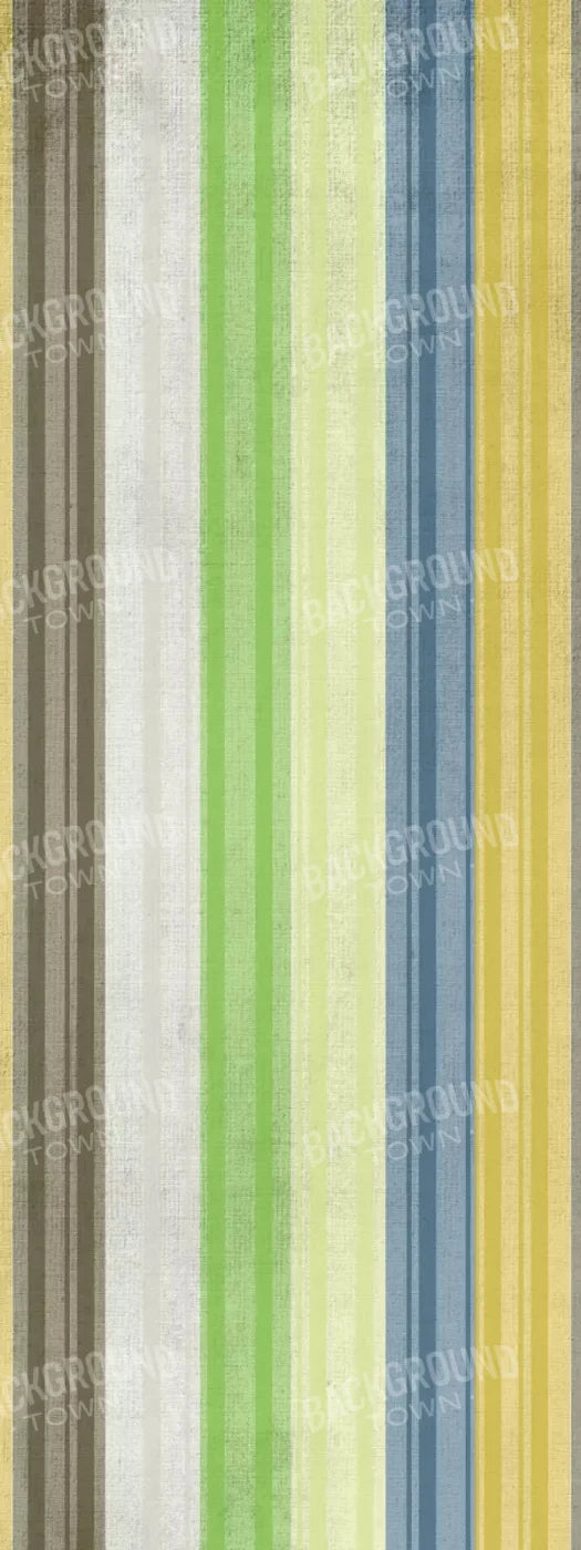 Benjamin 8X20 Ultracloth ( 96 X 240 Inch ) Backdrop