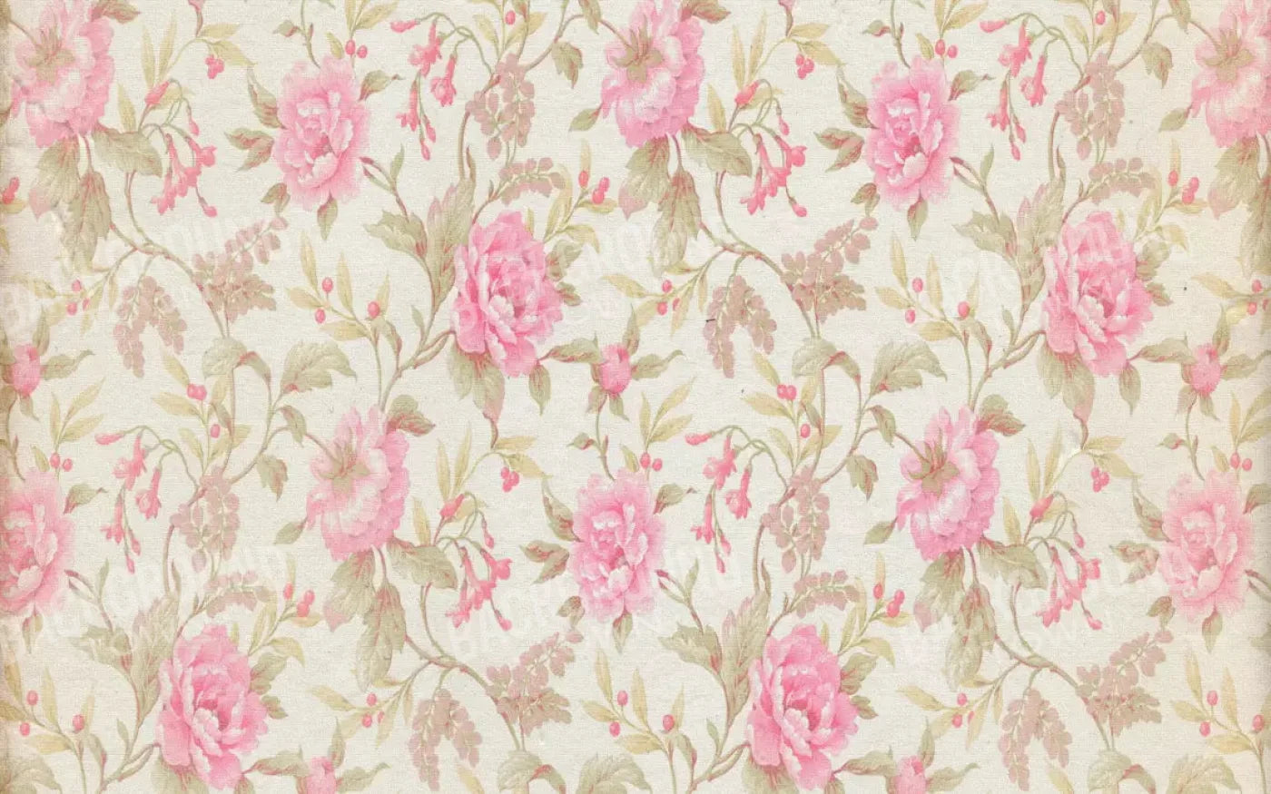 Bessie 14X9 Ultracloth ( 168 X 108 Inch ) Backdrop