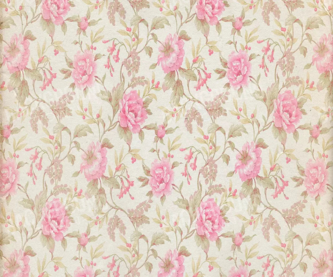 Bessie 5X42 Fleece ( 60 X 50 Inch ) Backdrop