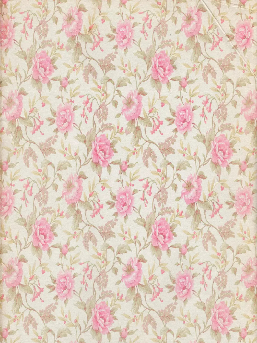 Bessie 5X7 Ultracloth ( 60 X 84 Inch ) Backdrop
