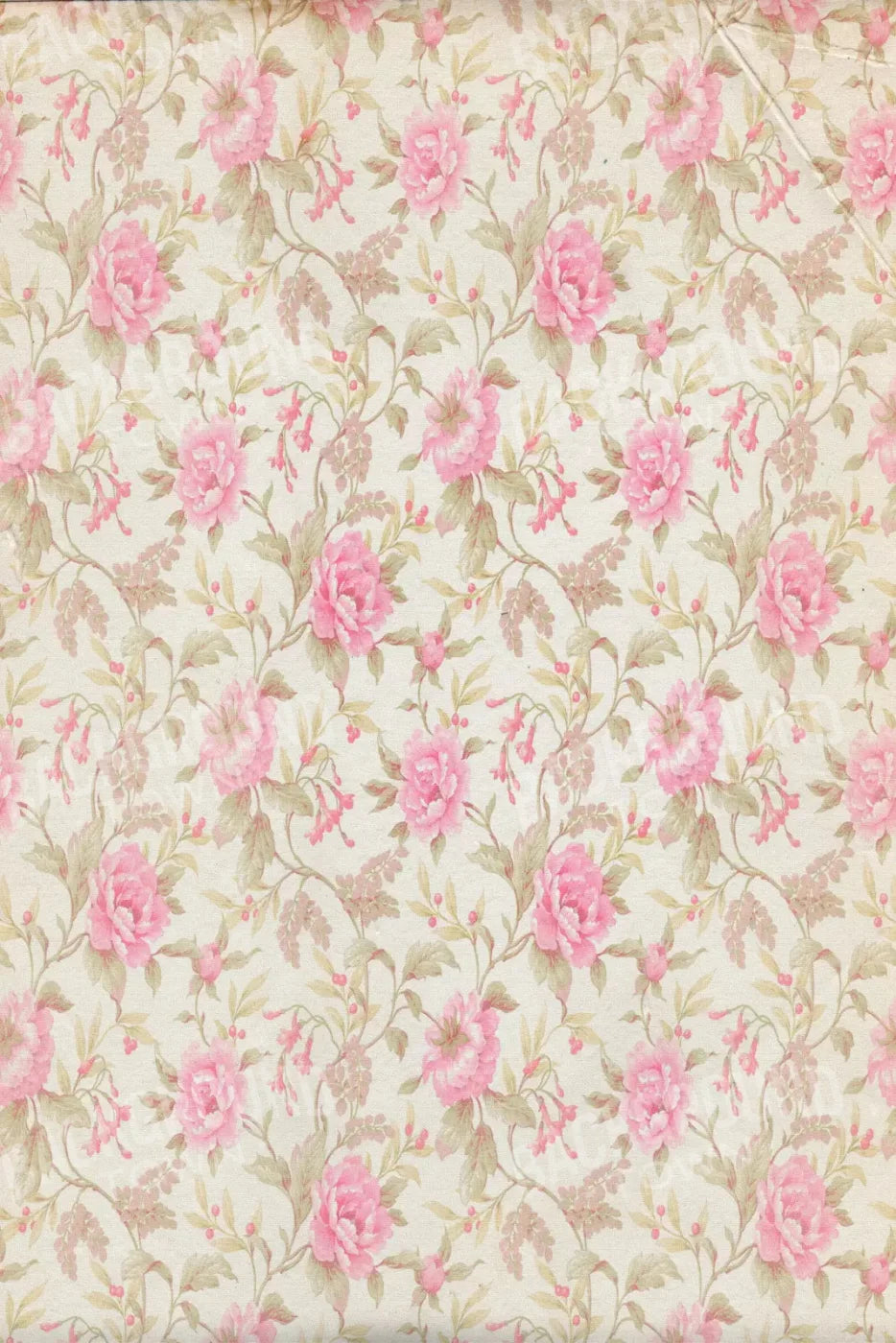 Bessie 5X8 Ultracloth ( 60 X 96 Inch ) Backdrop