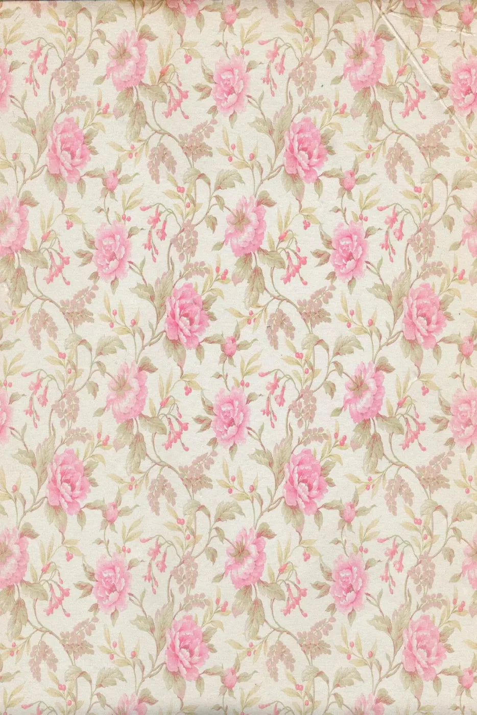 Bessie 5X8 Ultracloth ( 60 X 96 Inch ) Backdrop