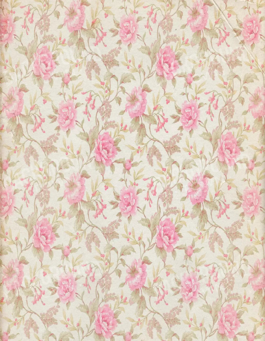 Bessie 6X8 Fleece ( 72 X 96 Inch ) Backdrop