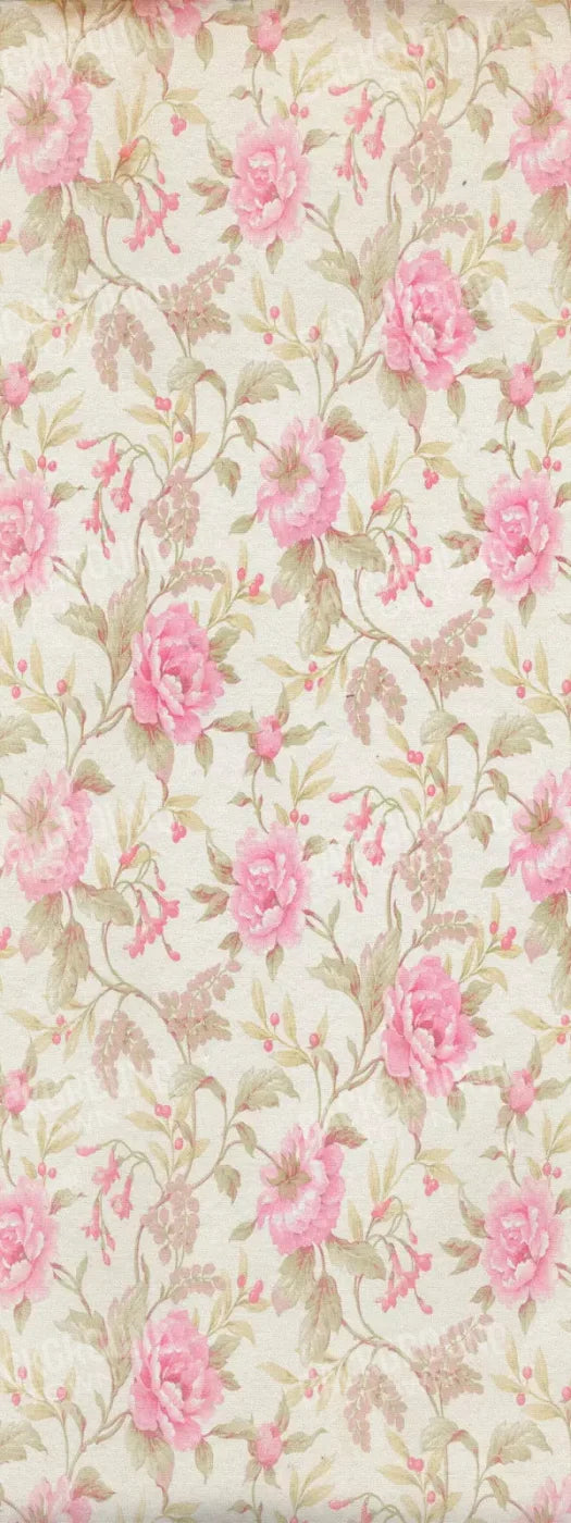 Bessie 8X20 Ultracloth ( 96 X 240 Inch ) Backdrop