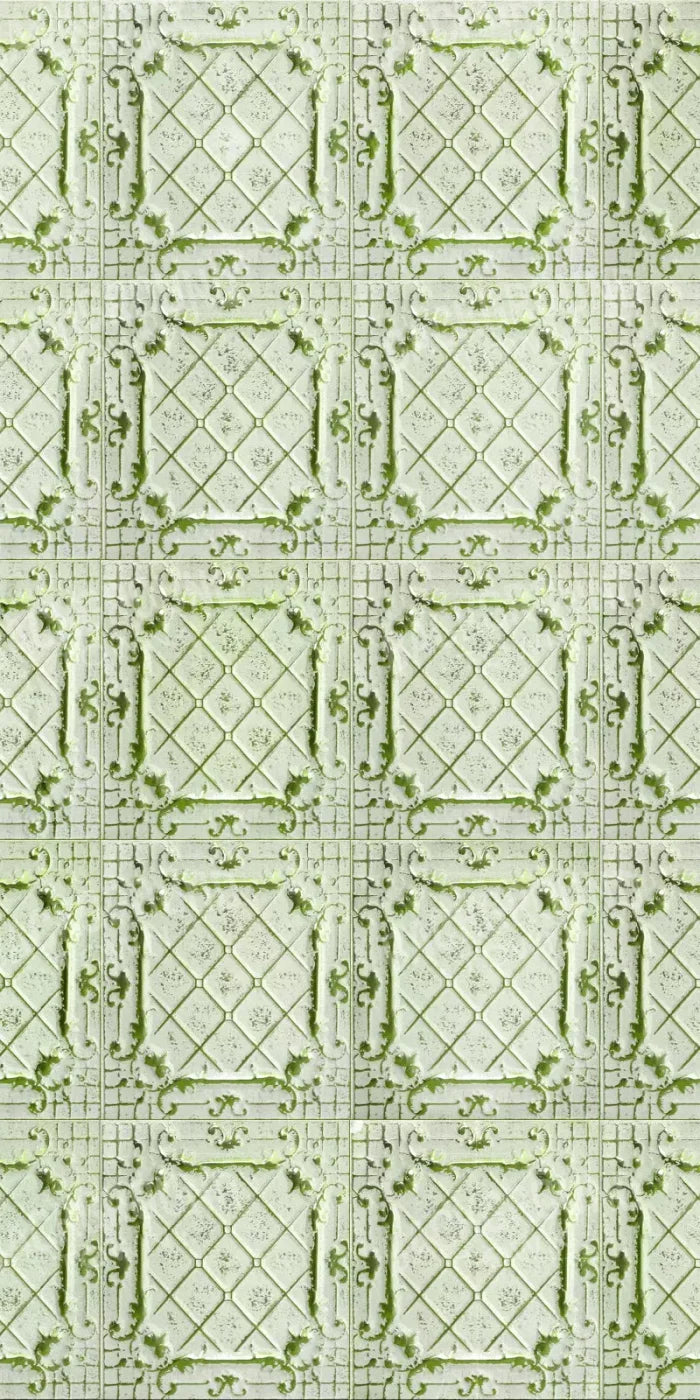 Beth Tiles 10X20 Ultracloth ( 120 X 240 Inch ) Backdrop