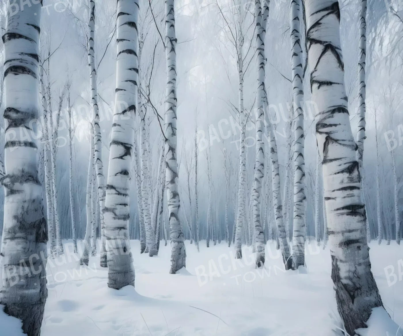 Birch Snow I 12’X10’ Ultracloth (144 X 120 Inch) Backdrop