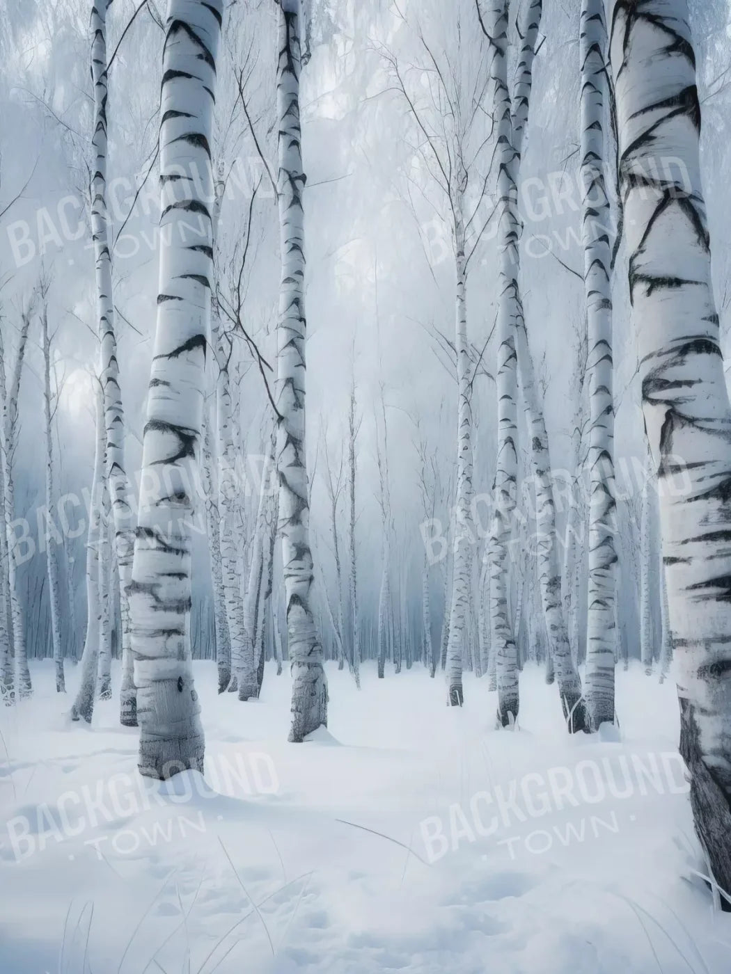 Birch Snow I 6’X8’ Fleece (72 X 96 Inch) Backdrop